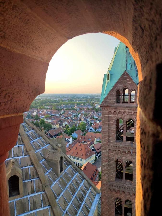 Carpe Diem * Speyer